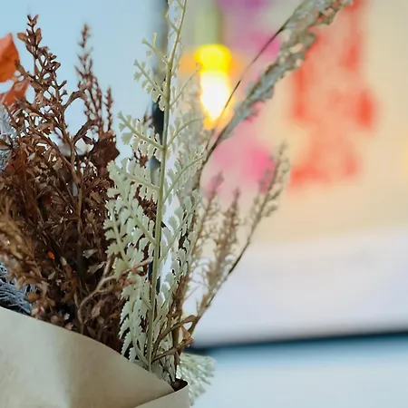 Apartmán Cozy Flats - 1mth